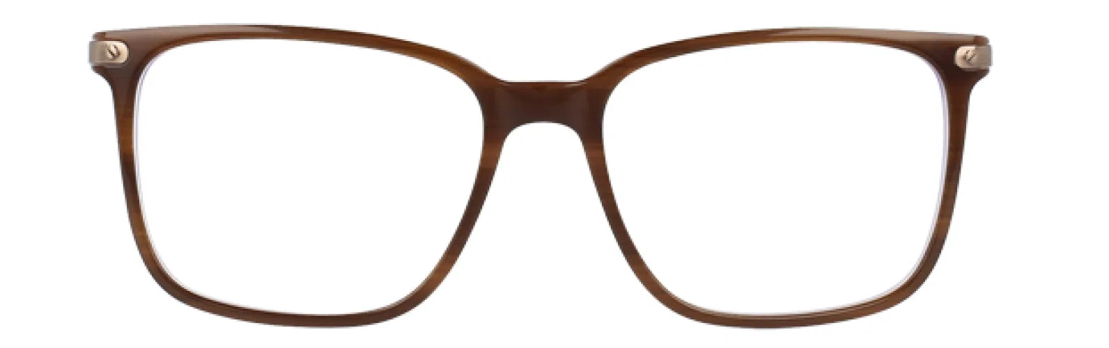 Via Spiga VSPalmira Eyeglasses - view 8